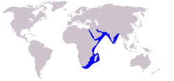 Indian Humpback Dolphin range