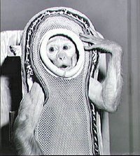 Sam the rhesus monkey flew to an apogee of 88 km in 1959. (NASA)