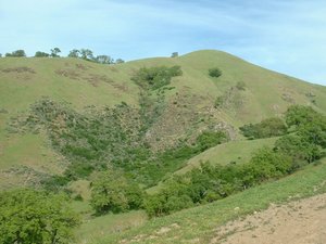 Hillside in Sunol Regional Wilderness, April