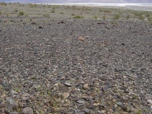 Desert pavement on alluvial fan of Hanaupah Canyon