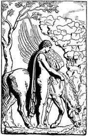 Bellerophon and Pegasus