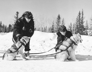 RCMP patrolling with sled dogs, 1957.