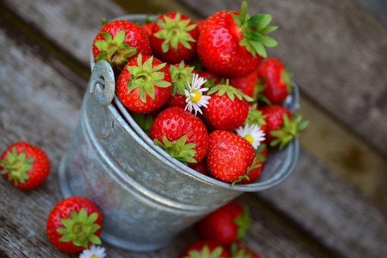 Fresh strawberries in a bucket