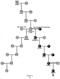 A  chart from  meant to show how one "illicit tryst" could lead to an entire generation of "imbeciles".