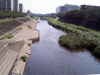 Kashio river from Asahi-basi