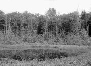 The Spruce Hole Bog