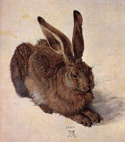 A Young Hare, 1502, Watercolor