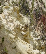 Yellow decayed rocks in the Grand Canyon of the Yellowstone