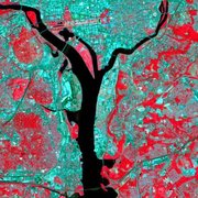 A false color IR image of Washington DC, taken by Landsat 7.