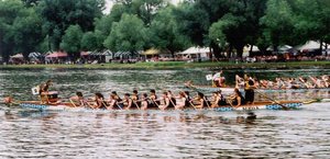 Two dragon boat crews during a race. The drummer, paddlers and sweep are all visible.