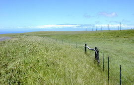 View north from upslope Kohala showing Haleakalā, Maui in the distance