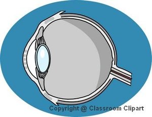Diagram of the human eye.Image provided by [http://classroomclipart.com Classroom Clip Art