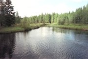 A beaver creek in 
