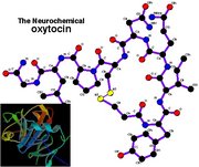 Neurochemical