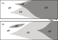 Diagram for Evolution of sex article