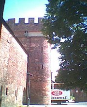 Part of medieval city walls