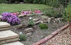 A naturalistic rockery in England