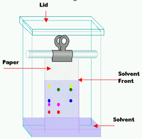 In paper chromatography, chemical interactions with the paper make compounds travel at different rates.