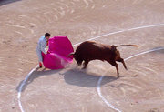 A matador holding a large muleta