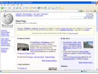 Internet Explorer 6, Windows XP, 1024x768 pixels total screen resolution.