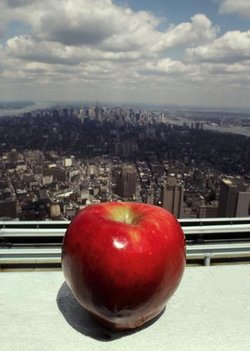 The Big Apple -  viewed from the 