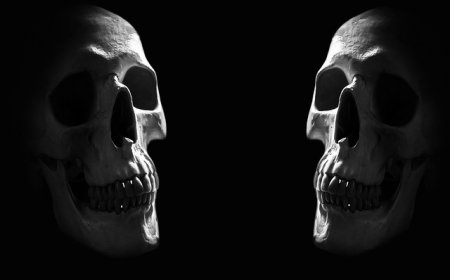 The Human Skeletal System for Kids: Bones, Functions, and Fun Facts