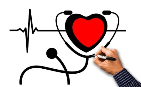 Cardiovascular system