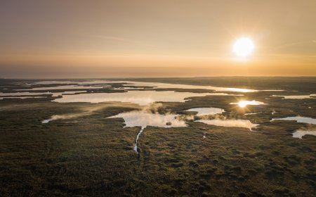 What Is a Drought? | Causes, Effects, and How to Prepare