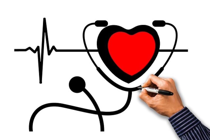 Cardiovascular system