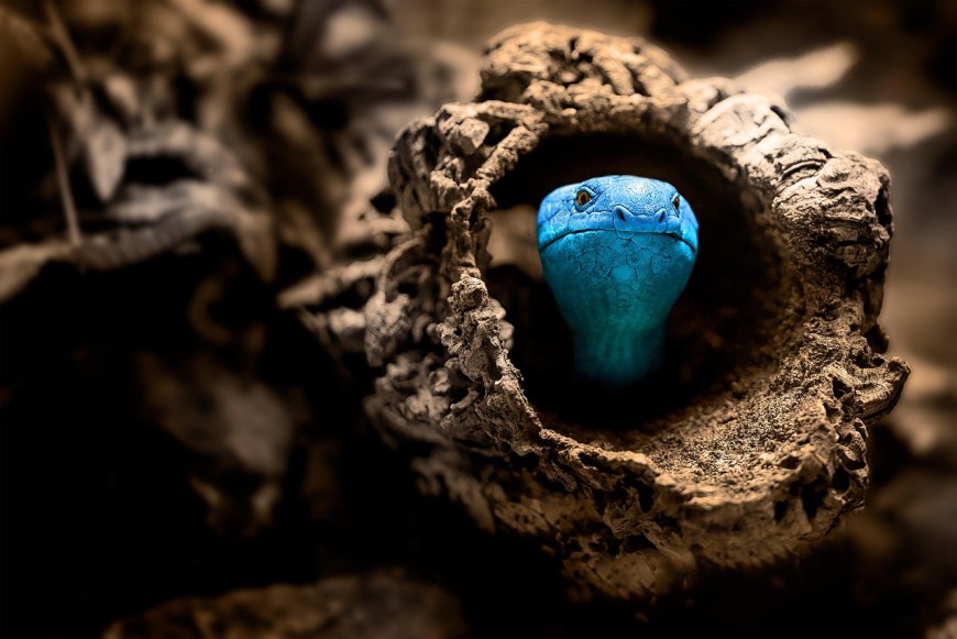Slithering Serpents: The Fascinating World of Snakes
