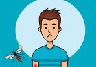 Major Insects for Kids: Fascinating Facts, Life Cycles, and Types Explained