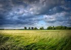 Water Cycle & Weather for Kids – How Water Shapes the Sky