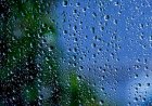 Humidity Facts for Kids – What Humidity Is and How It Affects Weather