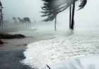 Wind Facts for Kids – What Causes Wind & How It Shapes Our Weather