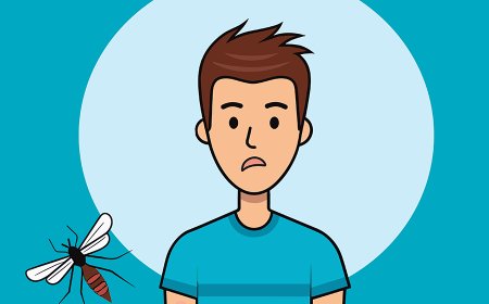 Major Insects for Kids: Fascinating Facts, Life Cycles, and Types Explained