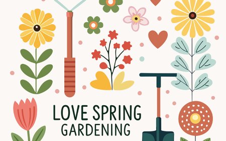 Seasons for Kids – What Causes Spring, Summer, Fall & Winter