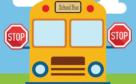 All About Land Transportation