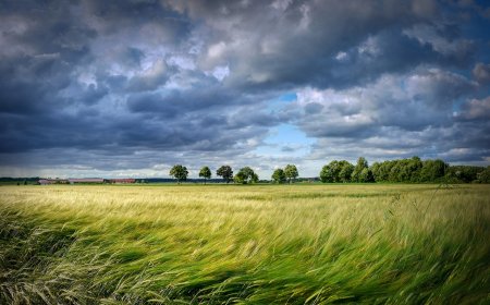 Water Cycle & Weather for Kids – How Water Shapes the Sky