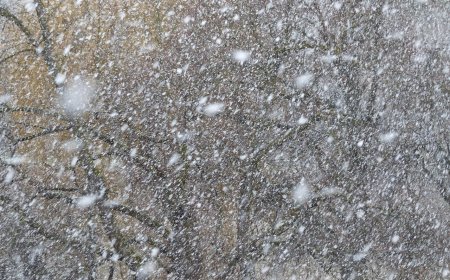 Precipitation Facts for Kids – Rain, Snow, and Everything in Between
