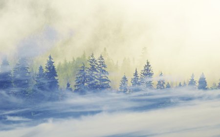 Fog The Cloud That Touches the Ground