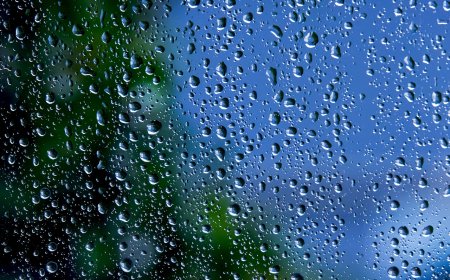 Humidity Facts for Kids – What Humidity Is and How It Affects Weather