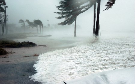 Wind Facts for Kids – What Causes Wind & How It Shapes Our Weather