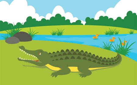 Grasslands for Kids: Fun Facts, Types, and Why They Matter