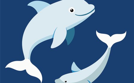 All About Beluga Whales for Students: The Canaries of the Sea