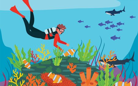 Animals for Kids Learn About the Animal Kingdom