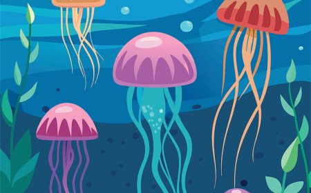 Jellyfish Facts for Kids – Learn About Jellyfish Anatomy, Habitat, and Stings
