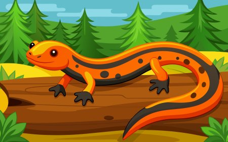 Amphibians
