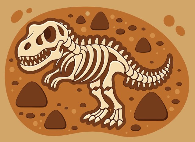 How Remains Become Fossils A Step by Step Guide for Students