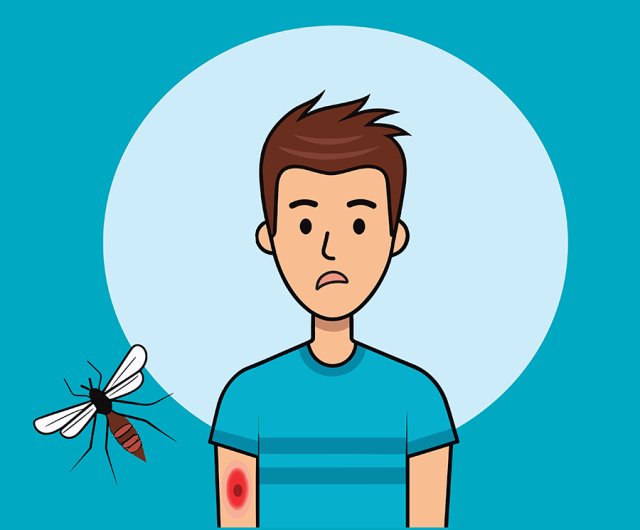 Mosquitoes for Kids: Fascinating Facts, Life Cycle, and How to Stay Safe
