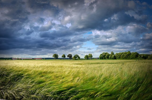 Water Cycle & Weather for Kids – How Water Shapes the Sky